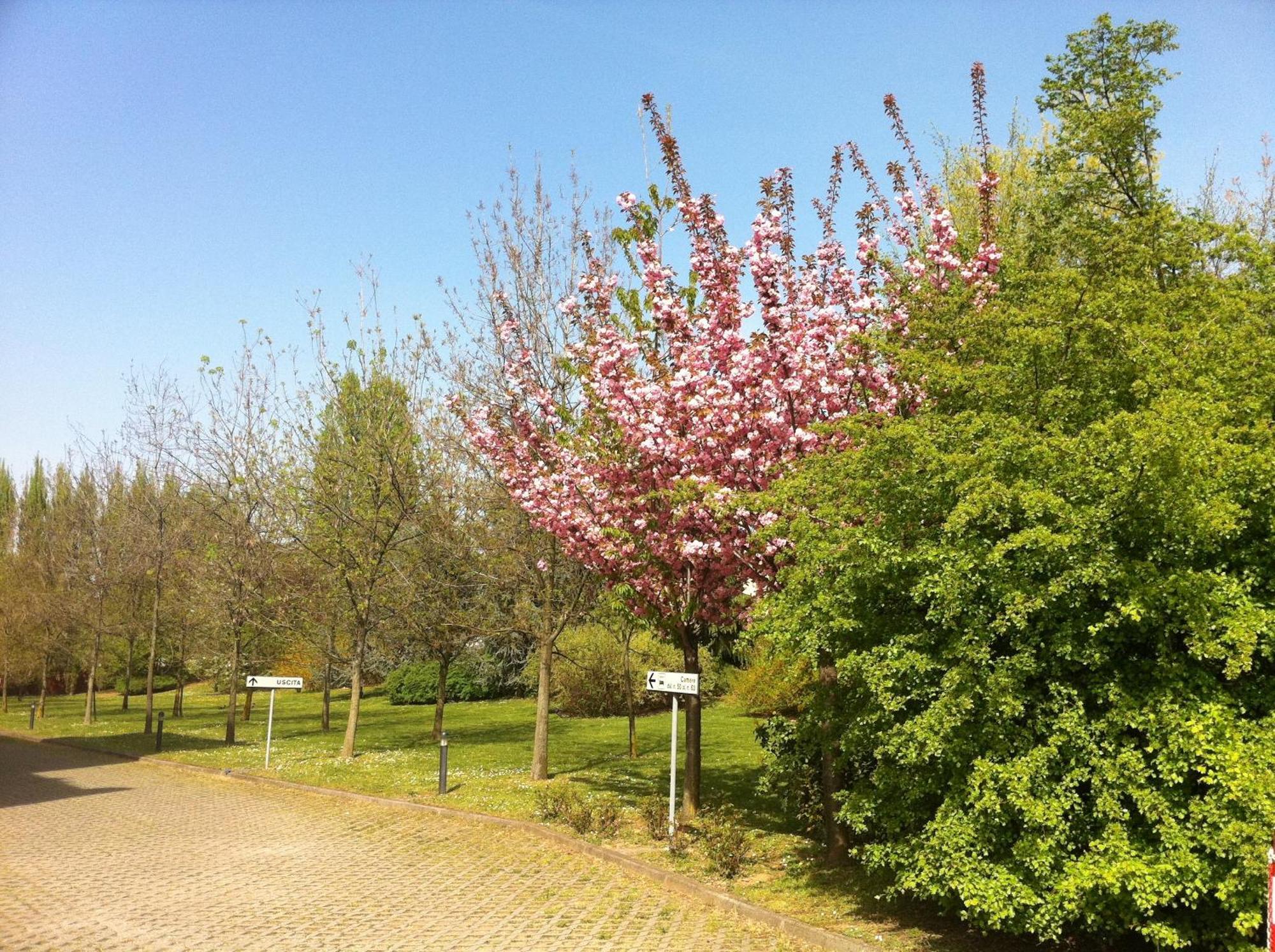 Just Hotel Saronno Exterior foto
